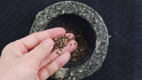 Black peppercorns cracked with a mortar and pestle.