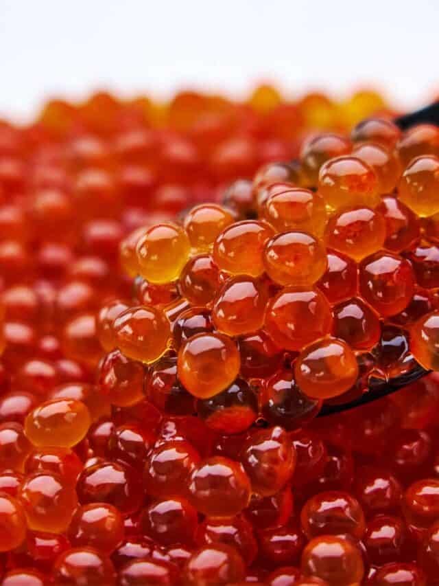 Close-up of ikura salmon roe glistening on a wooden spoon against a soft-focused background, showcasing its vibrant orange color and texture.