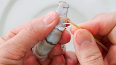 Pull the vein out of the shrimp using the tip of the toothpick.