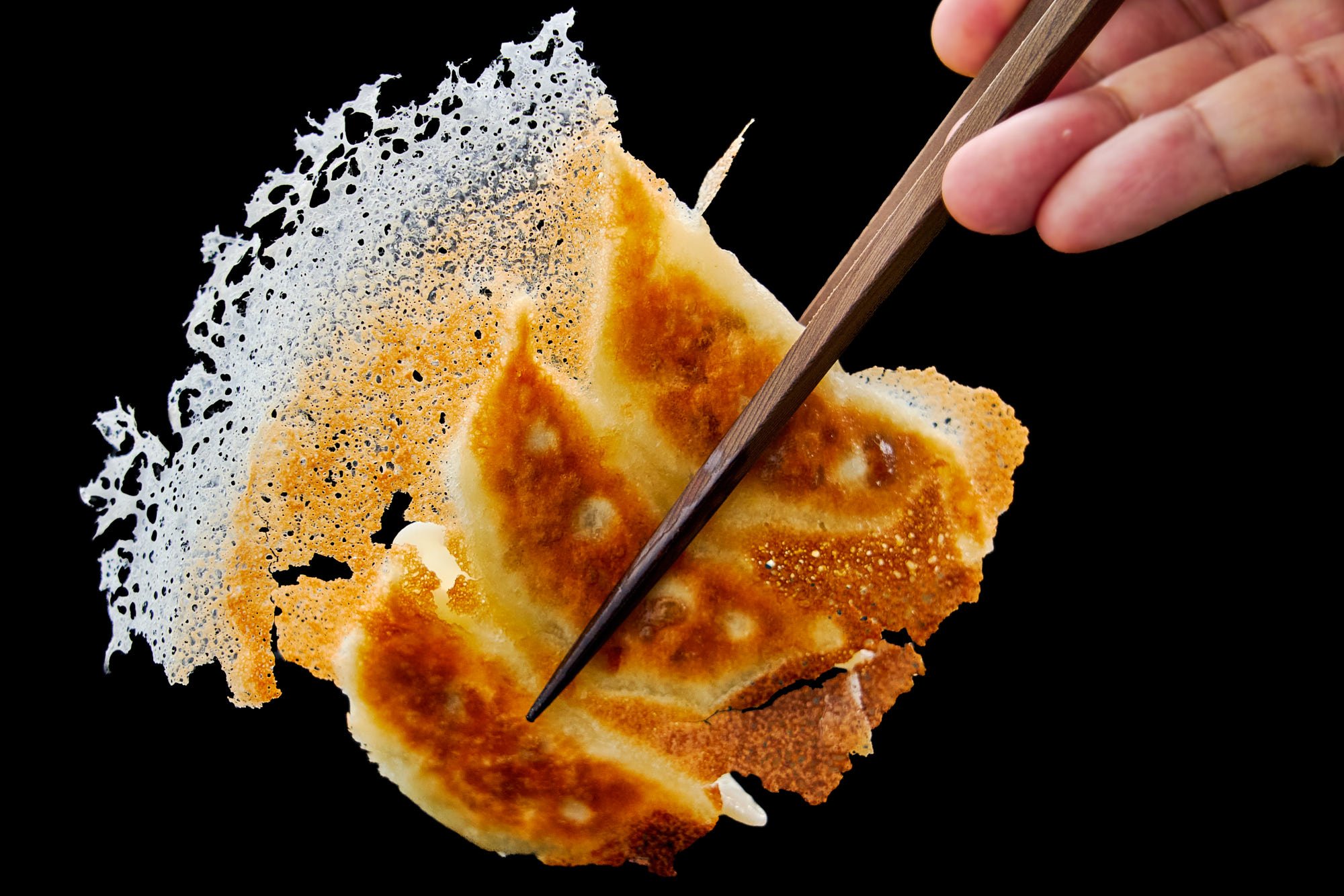 Hanetsuki Gyoza with crispy wings of batter radiating out from the juicy dumplings.
