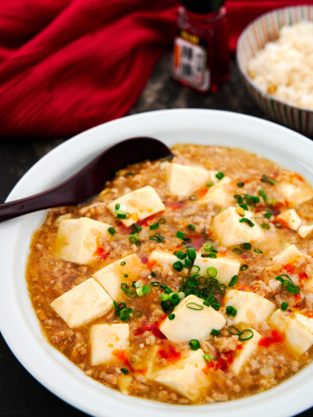 Japanese Mapo Tofu