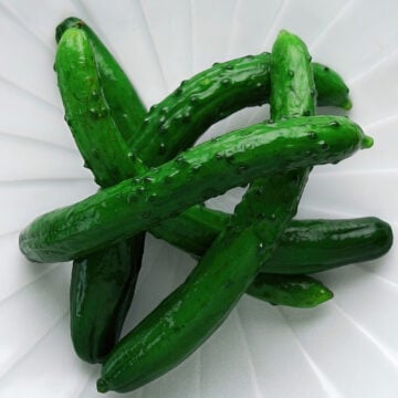 Whole Japanese pickled cucumbers glisten on a plate—crisp, refreshing, and bursting with savory umami from a simple salt brine.