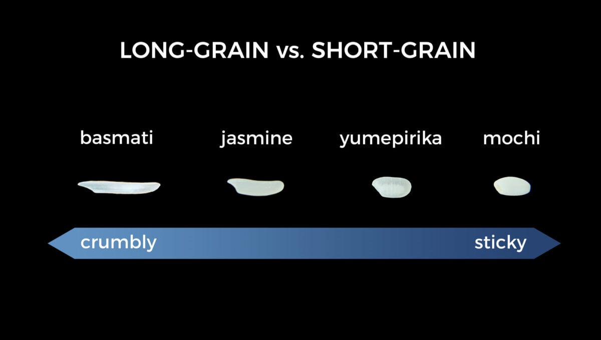 Comparison of different grains of rice and their textures.