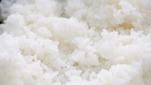 Fluffy Japanese short-grain rice.