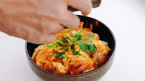 Shaking shichimi togarashi onto a bowl of oyakodon.