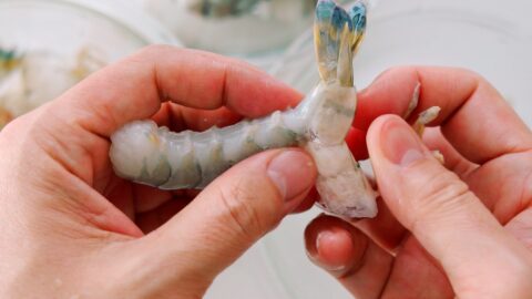 Pull the shell off up to the tail of the shrimp.