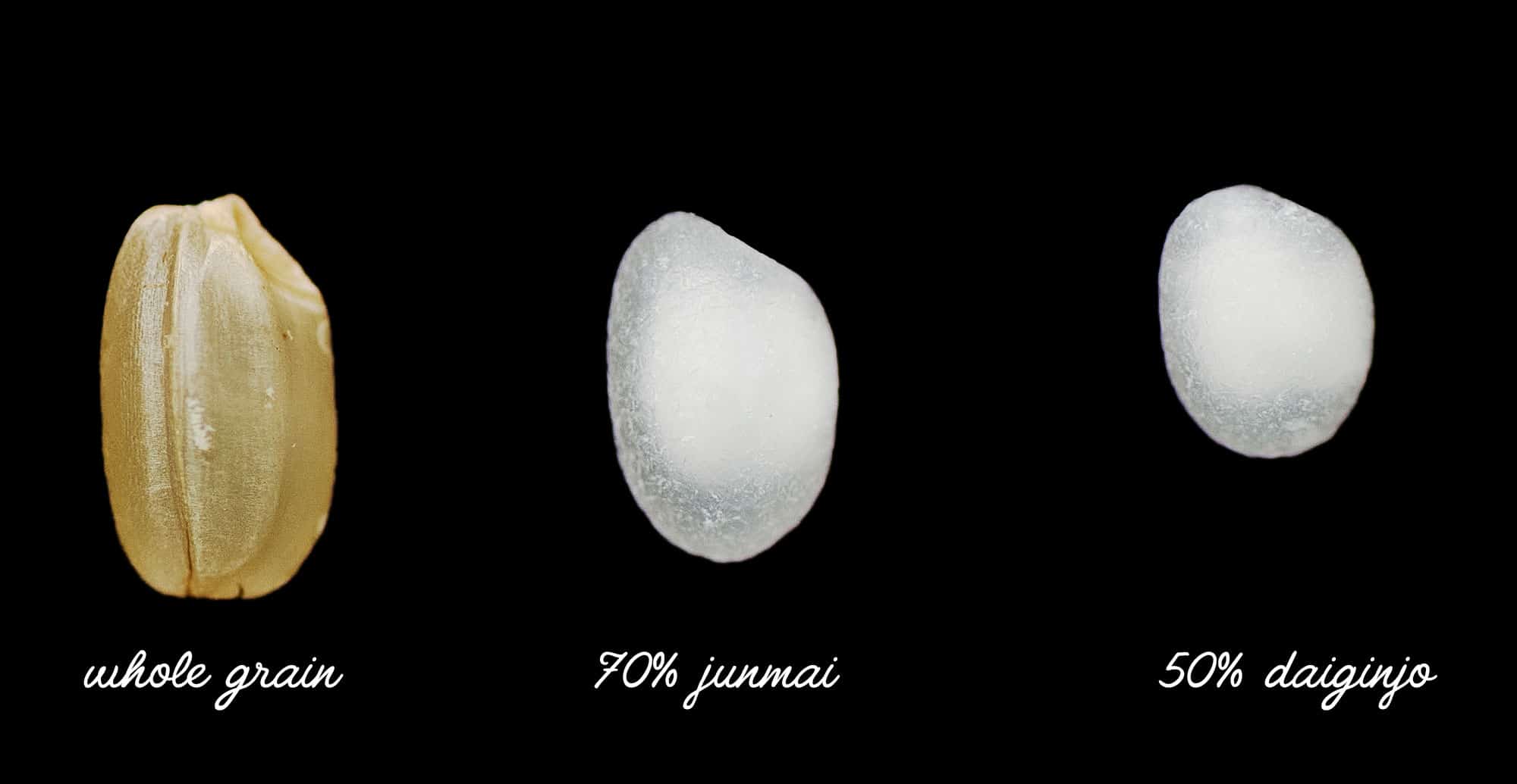 Grains of rice showing different polish ratio for sake.