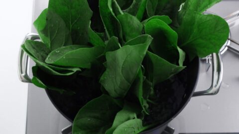 Boiling spinach, stems first.