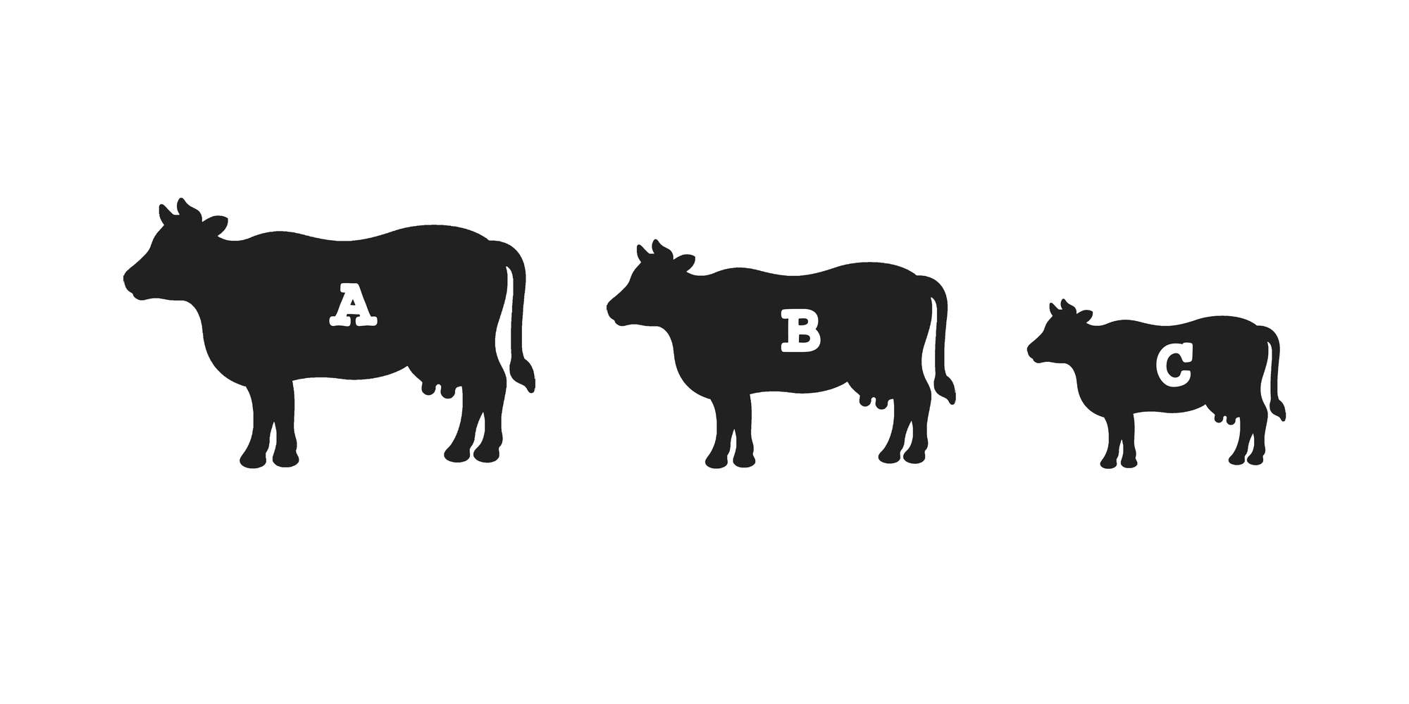 Three cows illustrating different yield grades for wagyu beef.